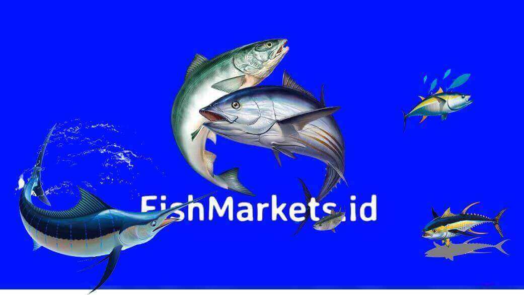 fishmarkets.id. jual ikan segar di jakarta